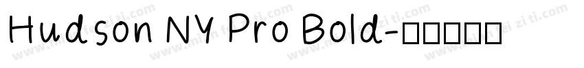 Hudson NY Pro Bold字体转换